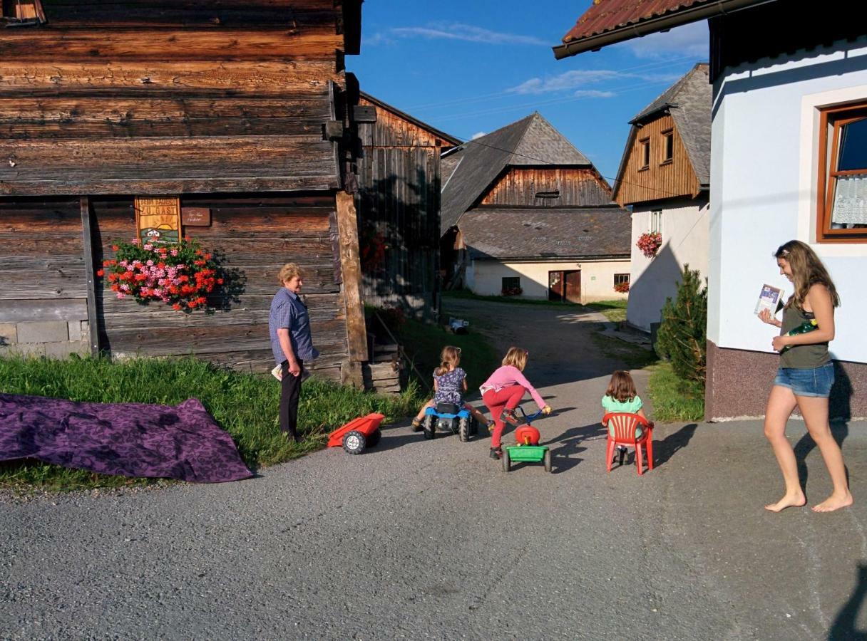 Rettlhof Villa Sankt Peter am Kammersberg Luaran gambar