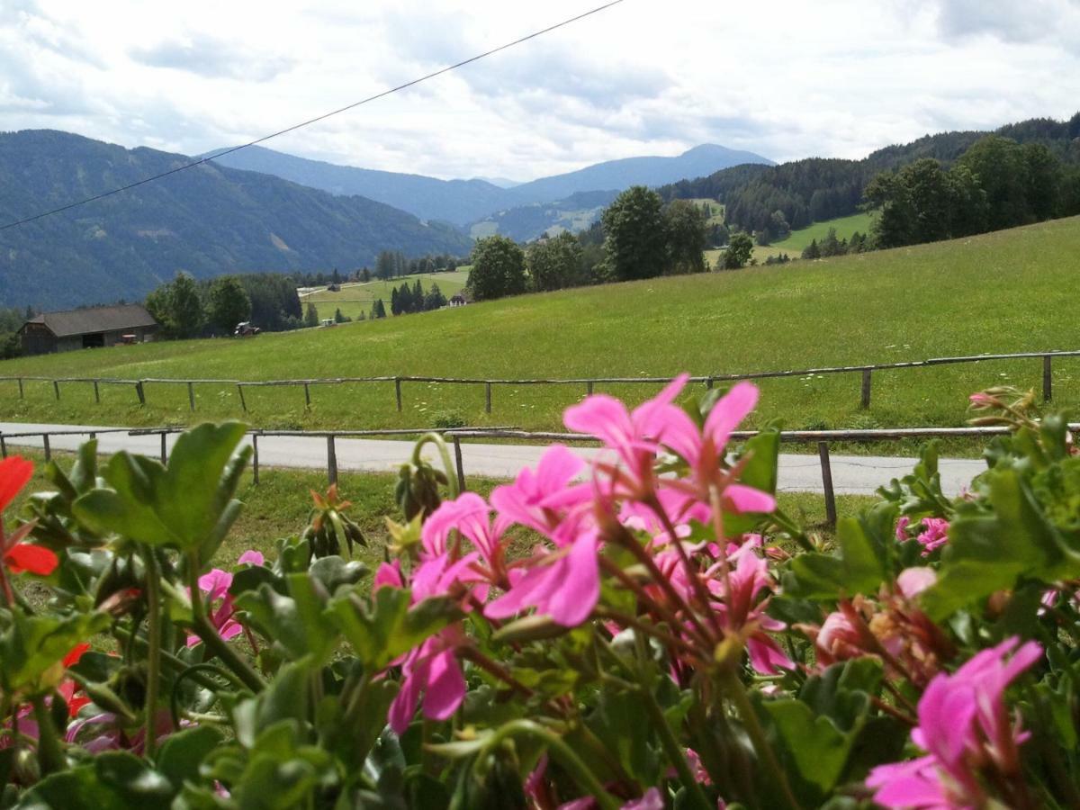 Rettlhof Villa Sankt Peter am Kammersberg Luaran gambar