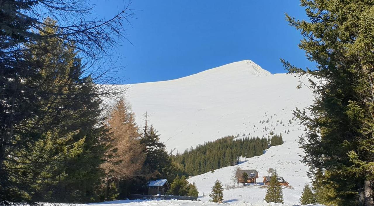 Rettlhof Villa Sankt Peter am Kammersberg Luaran gambar
